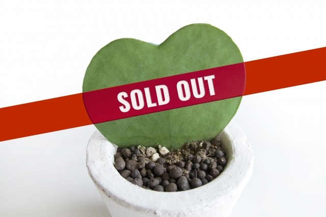 本日は売り切れました 旬味にしで